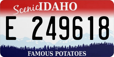 ID license plate E249618