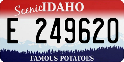 ID license plate E249620