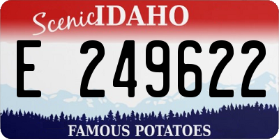 ID license plate E249622