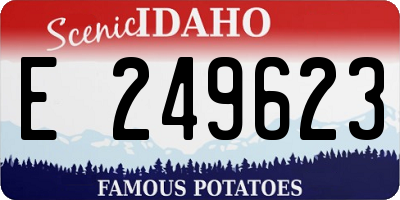 ID license plate E249623