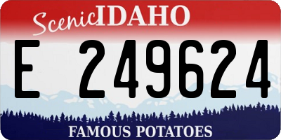 ID license plate E249624