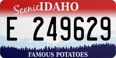 ID license plate E249629