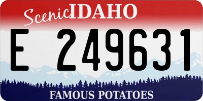 ID license plate E249631