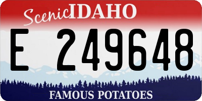 ID license plate E249648