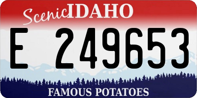 ID license plate E249653