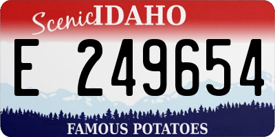 ID license plate E249654