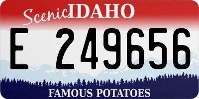 ID license plate E249656