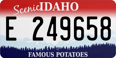 ID license plate E249658