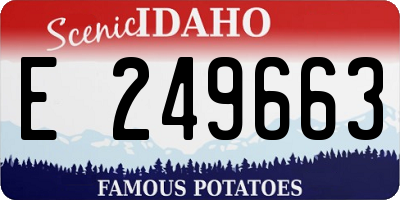 ID license plate E249663