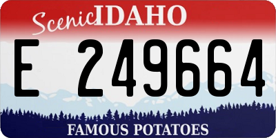 ID license plate E249664