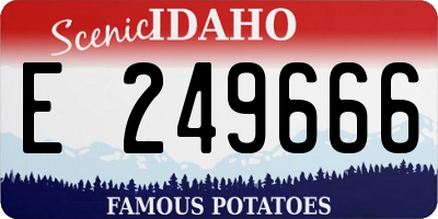 ID license plate E249666
