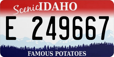 ID license plate E249667