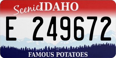 ID license plate E249672