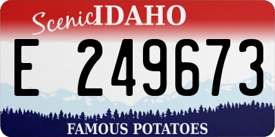 ID license plate E249673
