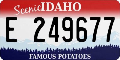 ID license plate E249677
