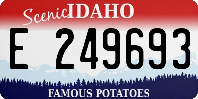 ID license plate E249693