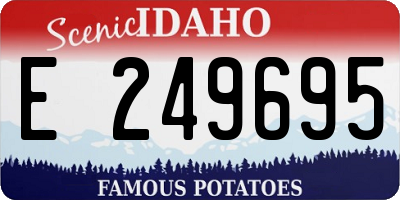 ID license plate E249695