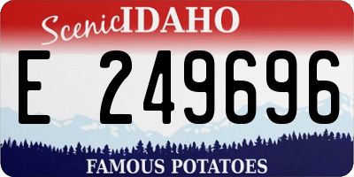ID license plate E249696