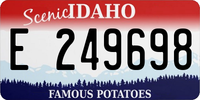 ID license plate E249698