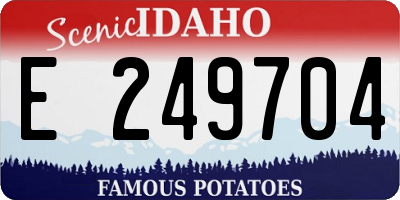 ID license plate E249704