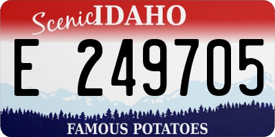 ID license plate E249705