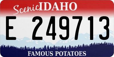 ID license plate E249713