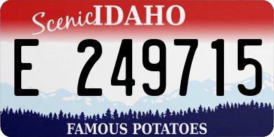 ID license plate E249715
