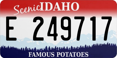 ID license plate E249717