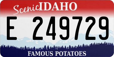 ID license plate E249729