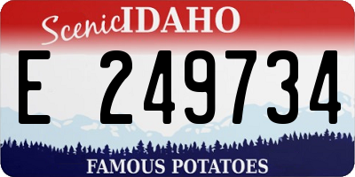 ID license plate E249734