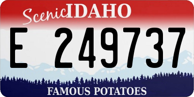 ID license plate E249737