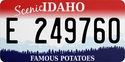 ID license plate E249760