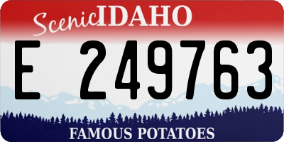 ID license plate E249763