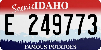 ID license plate E249773