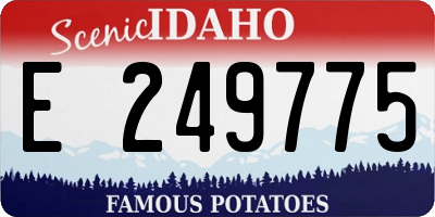 ID license plate E249775