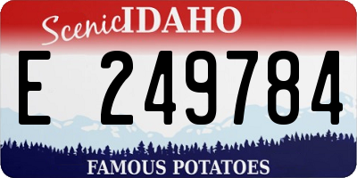 ID license plate E249784