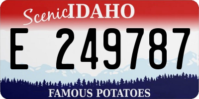 ID license plate E249787