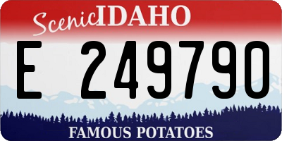 ID license plate E249790