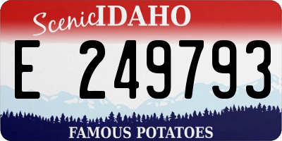 ID license plate E249793
