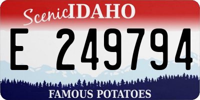 ID license plate E249794