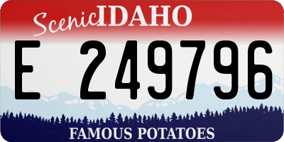 ID license plate E249796