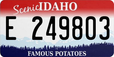 ID license plate E249803