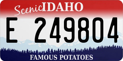 ID license plate E249804