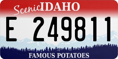 ID license plate E249811
