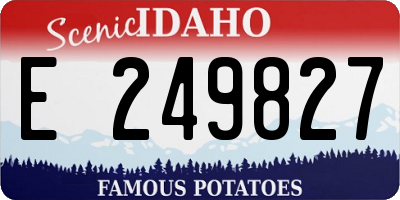 ID license plate E249827