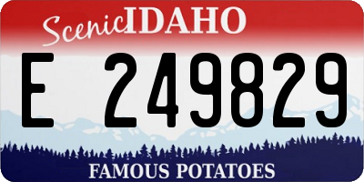 ID license plate E249829