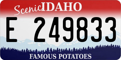 ID license plate E249833