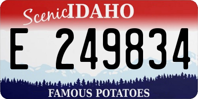 ID license plate E249834