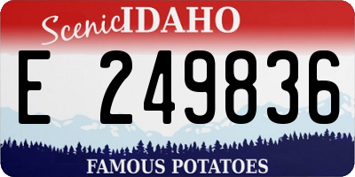 ID license plate E249836