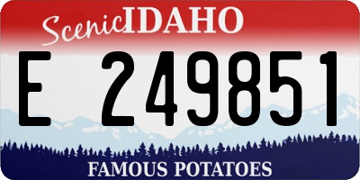 ID license plate E249851